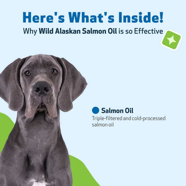 Wild Alaskan Salmon Oil - Omega-3s for Skin Health in Dogs(16 fl oz (473 ml) is a 1-2 month supply for Dogs)