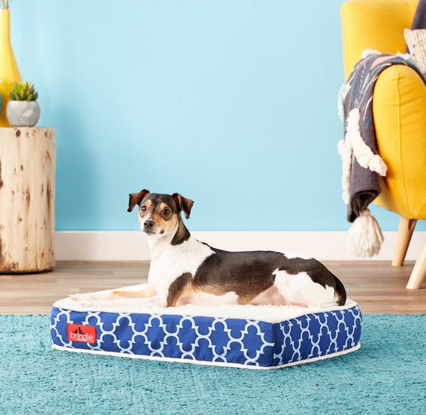Brindle Waterproof Orthopedic Pillow Cat & Dog Bed w/Removable Cover