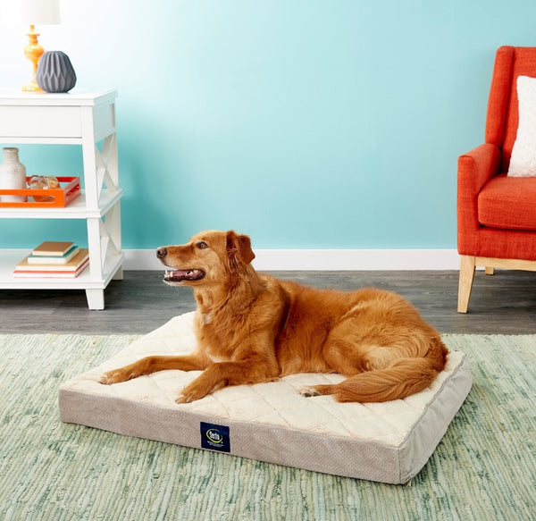 Serta Quilted Orthopedic Pillowtop Dog Bed w/Removable Cover