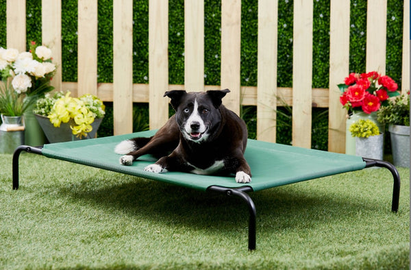 Frisco Steel-Framed Elevated Dog Bed