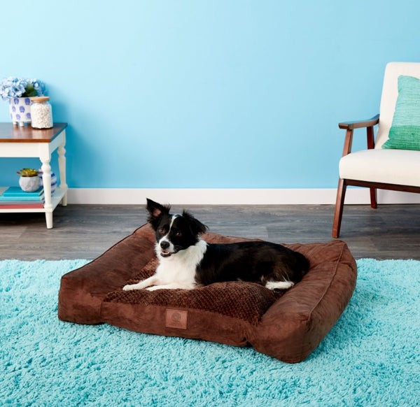 American Kennel Club Extra Large Memory Foam Pillow Dog Bed w/Removable Cover