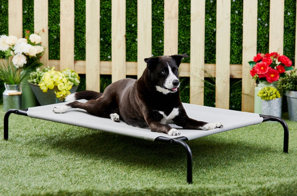 Frisco Steel-Framed Elevated Dog Bed