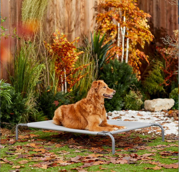 Frisco Steel-Framed Elevated Dog Bed