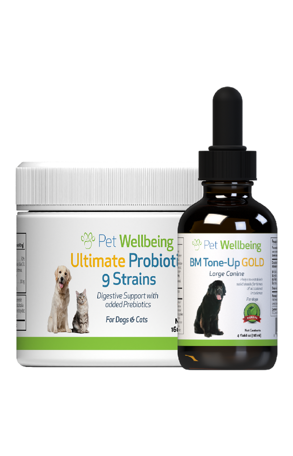 Value Pack Diarrhea Emergency Kit value size(1 BM Tone-Up Gold+ 1 Probiotic )(Free shipping over $50 Order)