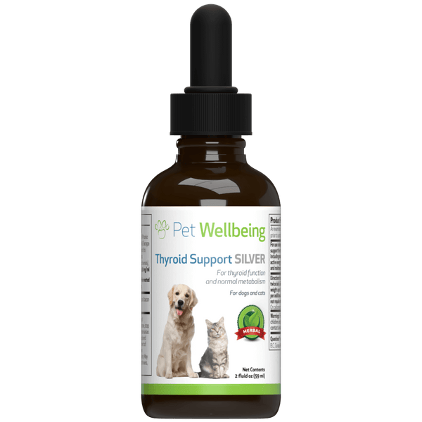 Thyroid Support Silver for Dog Hypothyroidism (1 bottle = 2 oz or 4 oz) )(Free shipping over $50 Order)