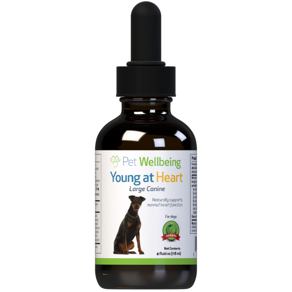 Young at Heart - for Healthy Heart Maintenance in Dogs ( Available in 2oz and 4oz)(Free shipping over $50 Order)
