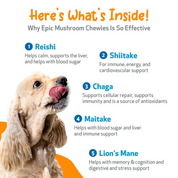 Epic Mushroom Chewies for Dogs (90 soft chews (approx. 4 grams per chew))