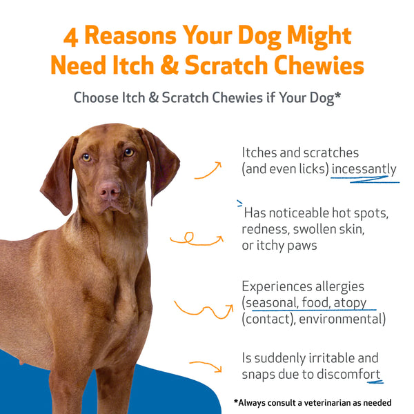Itch & Scratch Chewies for Dogs (Soothes itching and scratching, hot spots, itchy paws, licking or chewing)