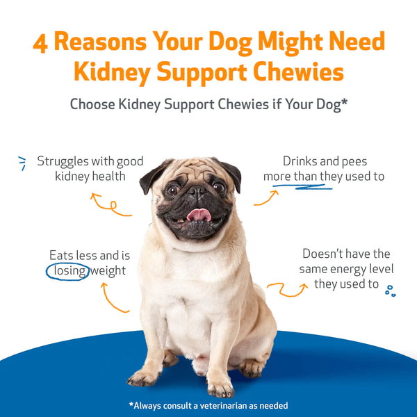 Kidney Support Chewies for Dogs(Normal urine output and thirst (fluid balance),90 Chews)