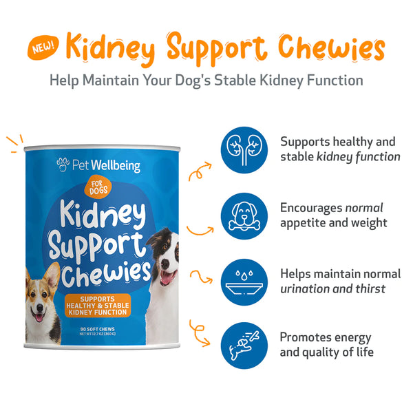 Kidney Support Chewies for Dogs(Normal urine output and thirst (fluid balance),90 Chews)