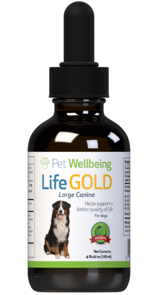 Life Gold - Trusted Care for Dog Cancer (Available in 2oz and 4oz)(Free shipping over $50 Order)