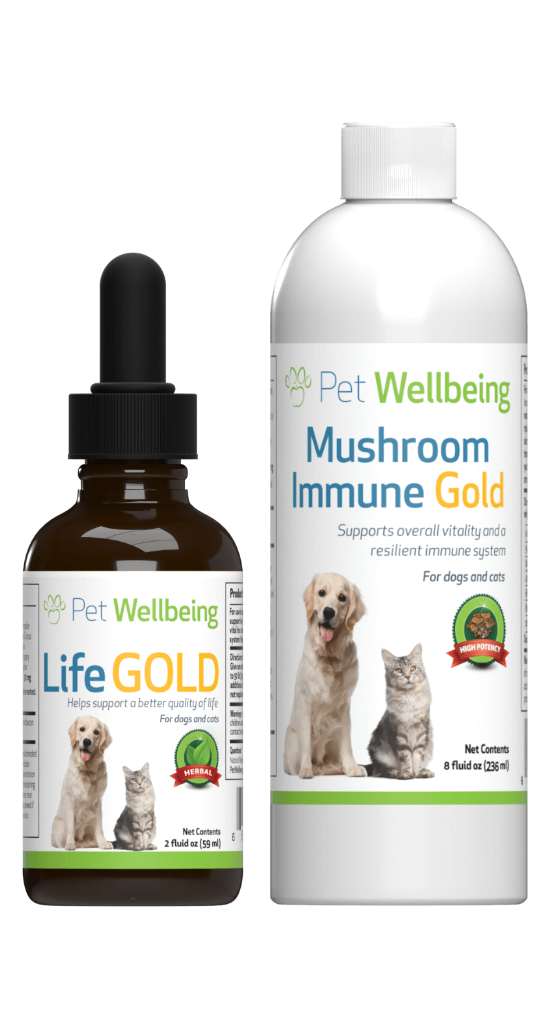 More Mushrooms Kit for Dog Cancer(Free shipping over $50 Order)