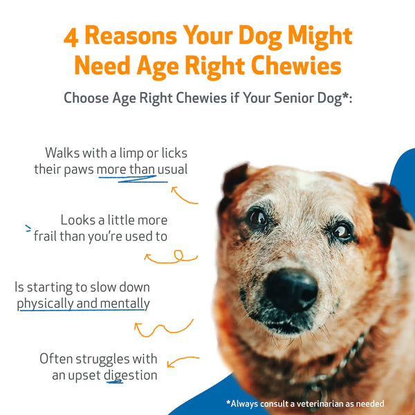 Senior Dogs Chewies (90 soft chews (approx. 4 grams per chew))