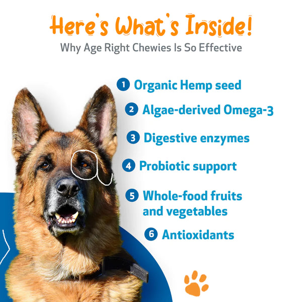 Senior Dogs Chewies (90 soft chews (approx. 4 grams per chew))