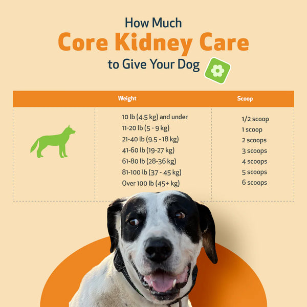CORE KIDNEY CARE - Daily Phosphate Binder for Dogs( 5.08 oz (144 g))