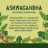 files/ashwagandhaherb.jpg