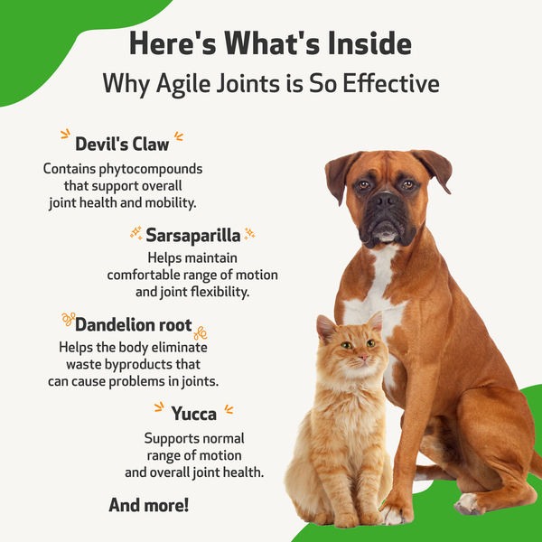 Agile Joints - Hip and Joint Health for Dogs