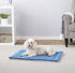 Frisco Self Warming Pillow Rectangular Pet Bed