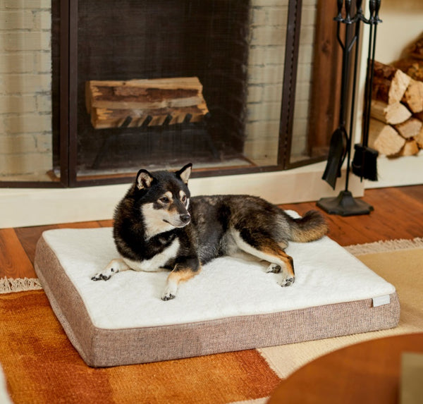 Frisco Orthopedic Pillow Cat & Dog Bed