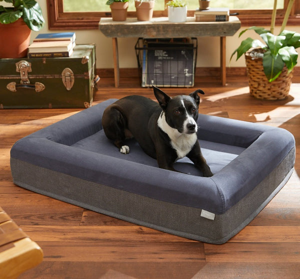 Frisco Orthopedic Rectangular Bolster Cat & Dog Bed w/Removable Cover