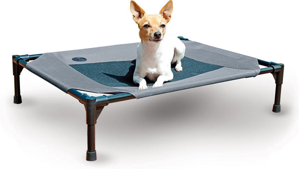 K&H Pet Products Coolin' Cot Elevated Dog Bed