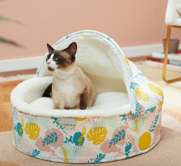 Frisco Hooded Zipper Cat & Dog Covered Bed, Tropical