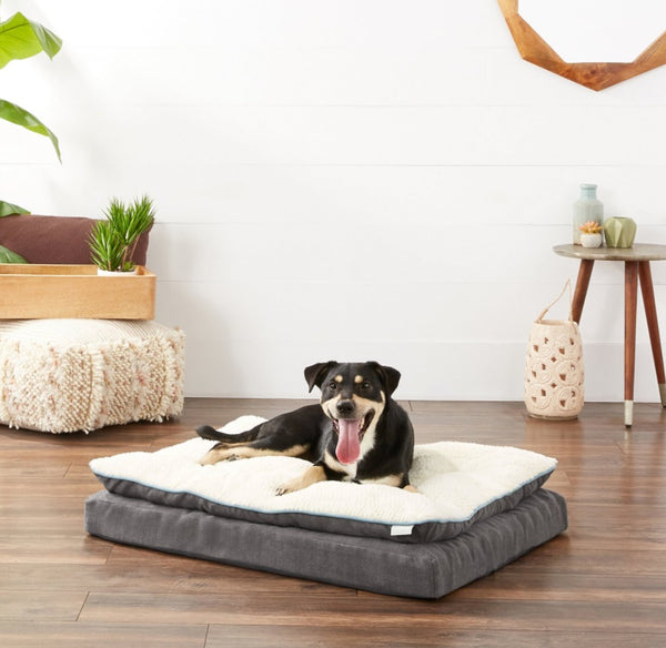 Frisco Plush Orthopedic Pillowtop Dog Bed w/Removable Cover