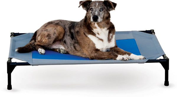 K&H Pet Products Coolin' Cot Elevated Dog Bed