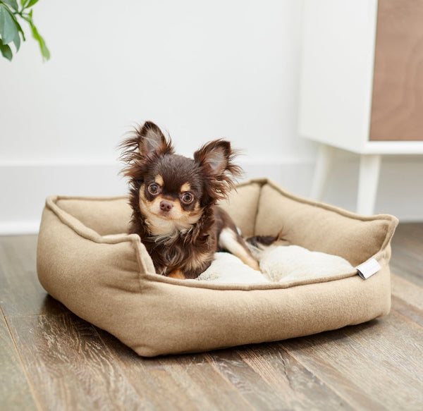 Frisco Faux Felt Flange Edge Bolster Cat & Dog Bed