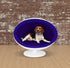 Sweet Barks Modern Fiberglass Ball Chair Elevated Dog & Cat Bed