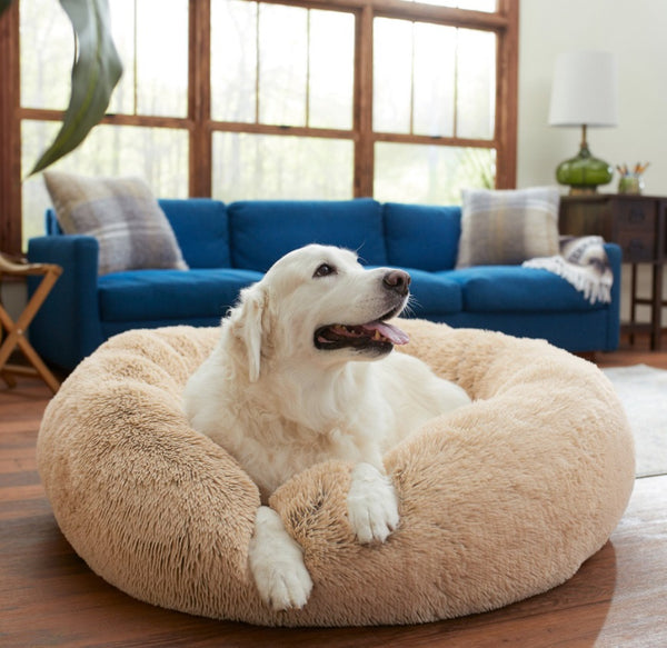 Frisco Eyelash Cat & Dog Bolster Bed