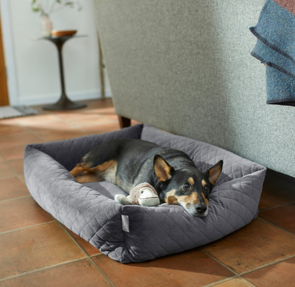 Frisco Velvet Rectangular Bolster Cat & Dog Bed