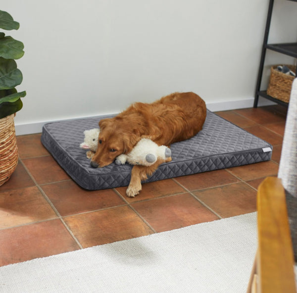 Frisco Quilted Orthopedic Pillow Cat & Dog Bed w/Removable Cover