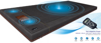 BioAcoustic Mat Professional Size (Better Sleep, Better Health, Better Life)