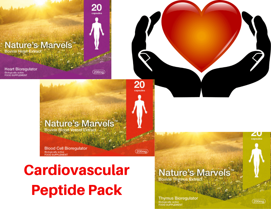 CARDIOVASCULAR SYSTEM PEPTIDE BUNDLE - A-3 VENTFORT A-14 CHELOCHART A-6 VLADONIX