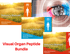 VISUAL ORGAN PEPTIDE BUNDLE - A-11 VISOLUTEN A-5 CERLUTEN A-3 VENTFORT