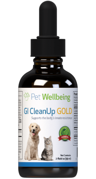 GI CleanUp Gold for Cat Worms