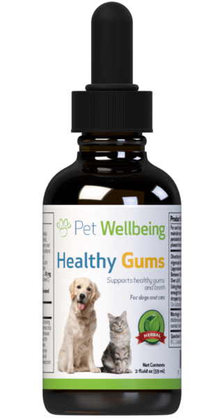 Healthy Gums for Canine Periodontal Health