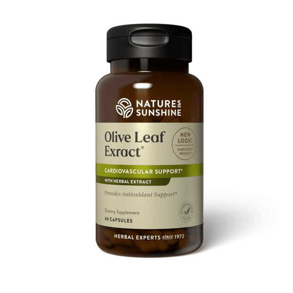 Olive Leaf Extract Concentrate (60 Caps)