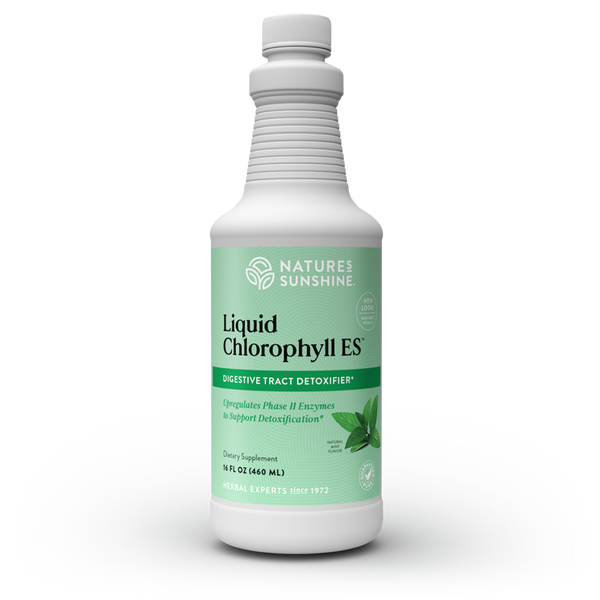 Chlorophyll ES, Liquid (16 fl. oz.)