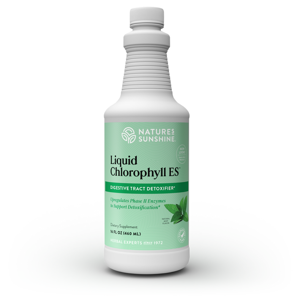 Chlorophyll ES, Liquid (Two 16 fl. oz. bottles)