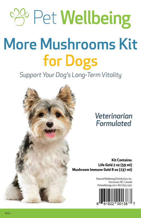 Value Pack Mushrooms Kit for dog Cancer small size(1 Mushroom Immune Gold+ 1 Life Gold )(Free shipping over $50 Order)