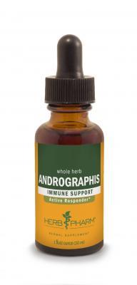Andropgraphis Extract