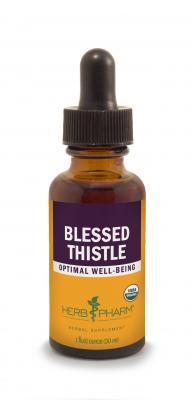 Blessed Thistle
