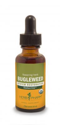 Bugleweed