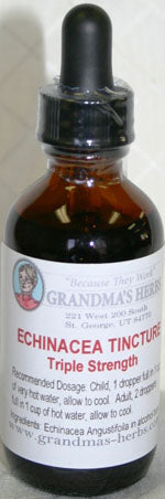 Echinacea for Immune System Support