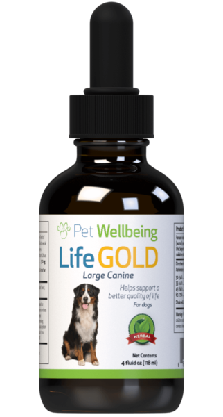 Life Gold - Trusted Care for Dog Cancer  (Available in 2oz and 4oz)(Free shipping over $50 Order)