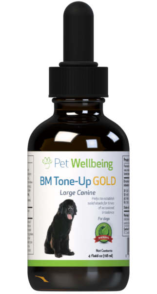 BM Tone-Up Gold - Dog Diarrhea Support (Available in 2oz and 4oz)(Free shipping over $50 Order)